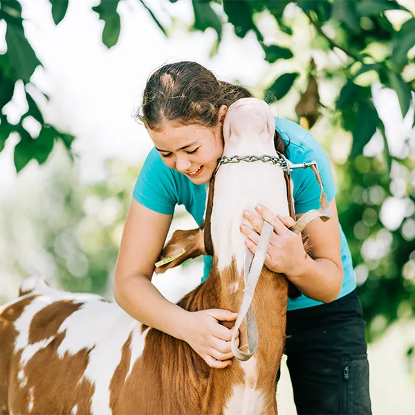 Mädchen umarmt eine Kuh im Grünen.